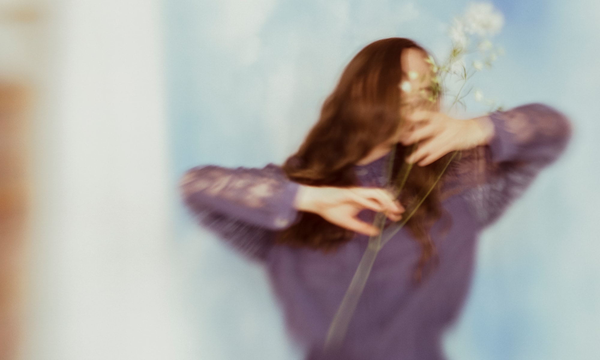 Petals Dancing in the Light Book