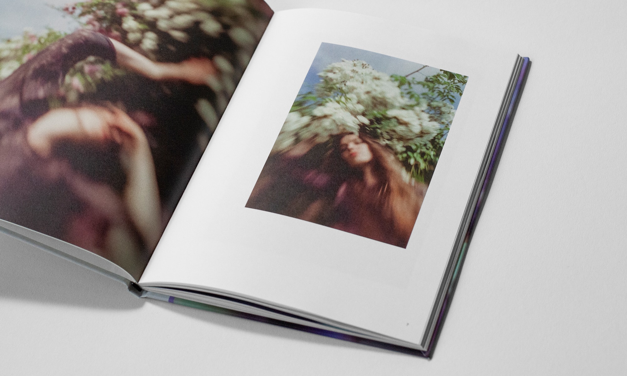 Petals Dancing in the Light Book